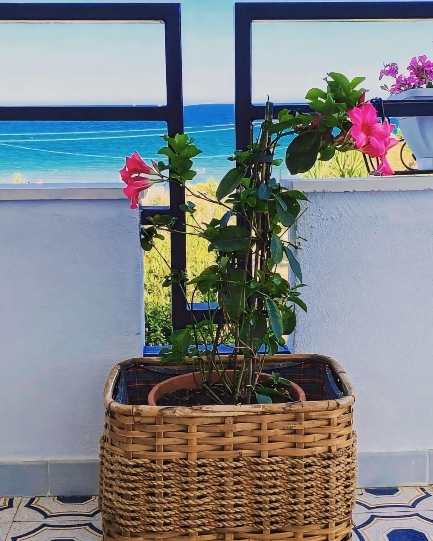 Il Mare Di Ciccio Villa Avola Ngoại thất bức ảnh